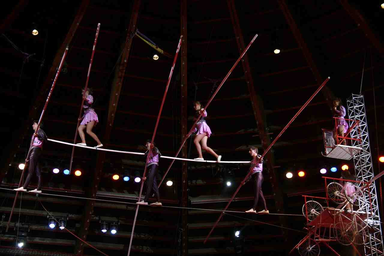 acrobates, cirque, divertissement